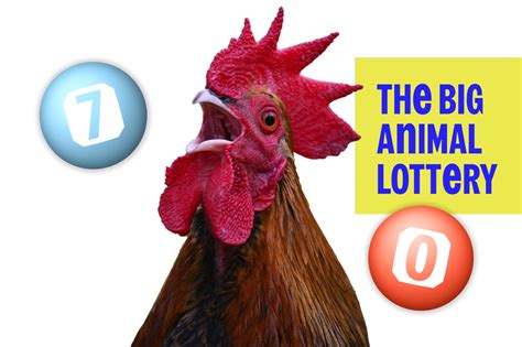 rspca lottery|Play The Big Animal Lottery .